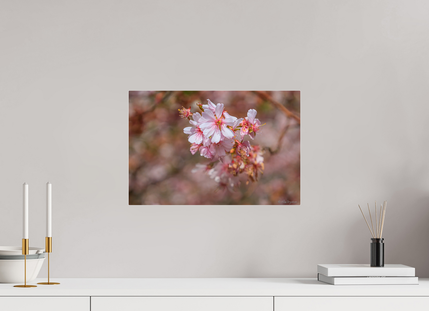 Breathtaking Cherry Blossom Art Print - Premium Quality