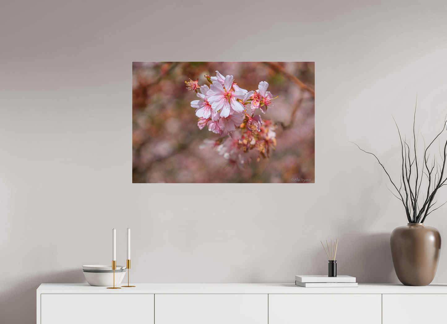 Breathtaking Cherry Blossom Art Print - Premium Quality