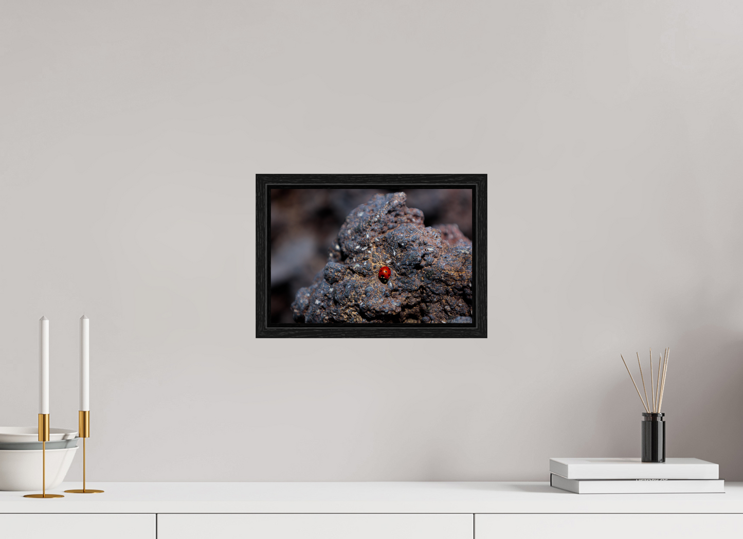 Vibrant Ladybug on Rocky Terrain Fine Art Print Multiple Sizes Available