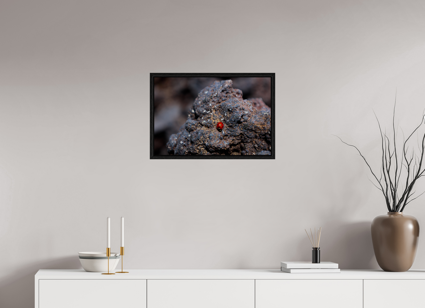 Vibrant Ladybug on Rocky Terrain Fine Art Print Multiple Sizes Available