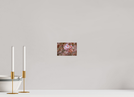 Breathtaking Cherry Blossom Art Print - Premium Quality