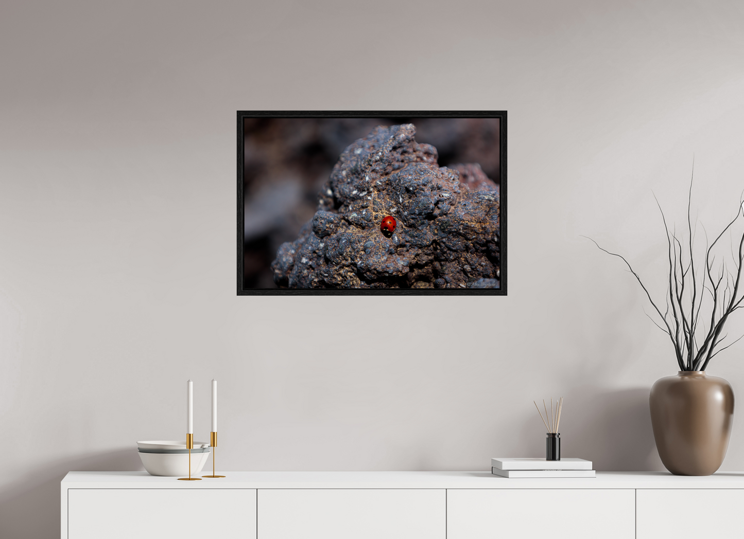 Vibrant Ladybug on Rocky Terrain Fine Art Print Multiple Sizes Available