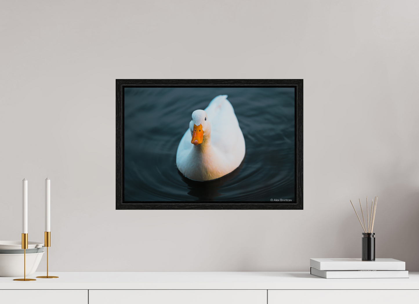 Graceful White Duck Print Wall Art – Nature Photography on Premium Paper