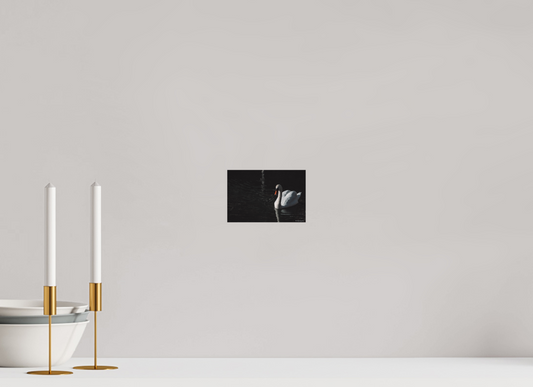 Elegant Swan Art Print Tranquil Water Scene Nature Photography Wall Decor