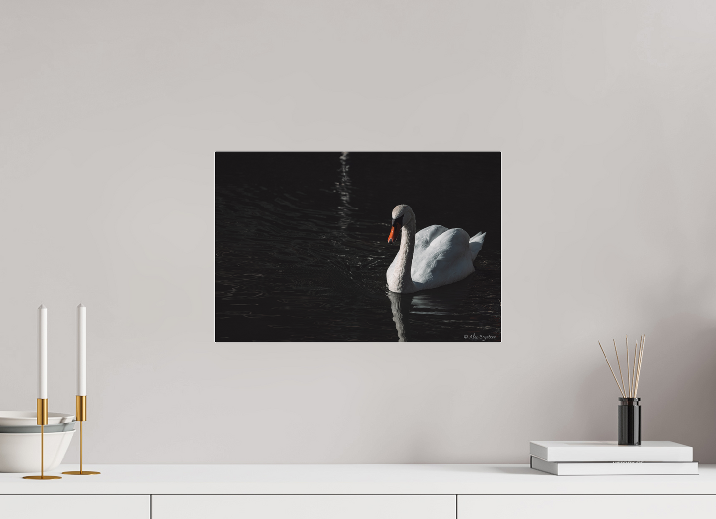 Elegant Swan Art Print Tranquil Water Scene Nature Photography Wall Decor