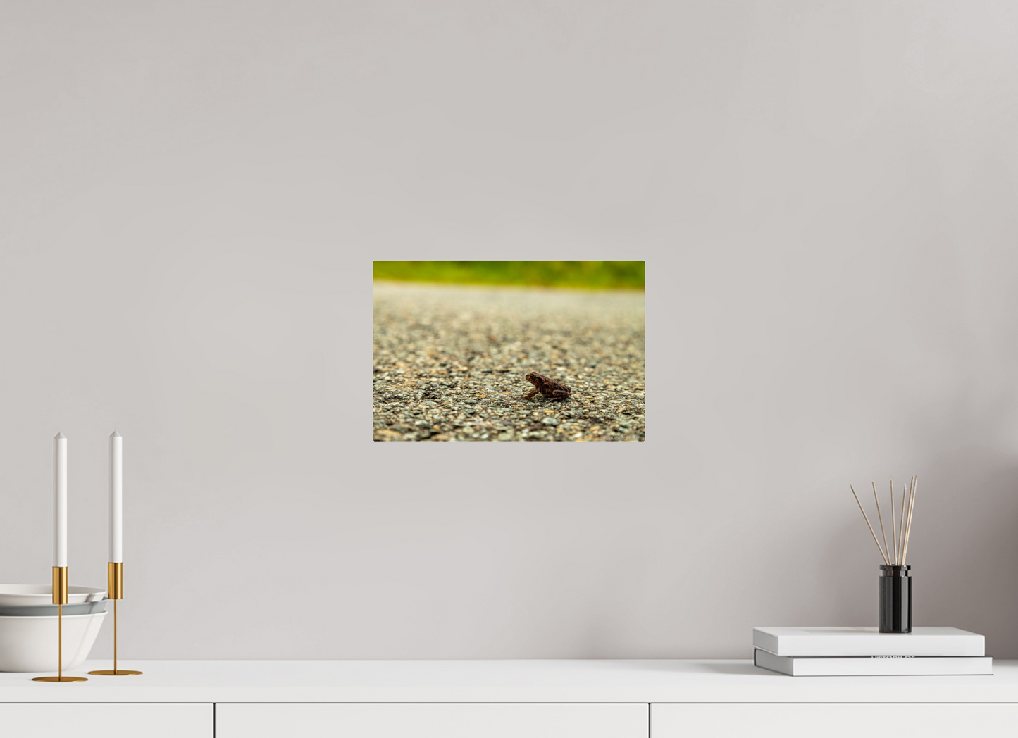 Captivating Close-Up of Tiny Frog on a Journey Fine Art Print