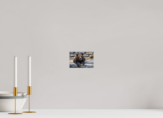 Majestic Bear Art Print Rustic Wildlife Photography Wall Decor