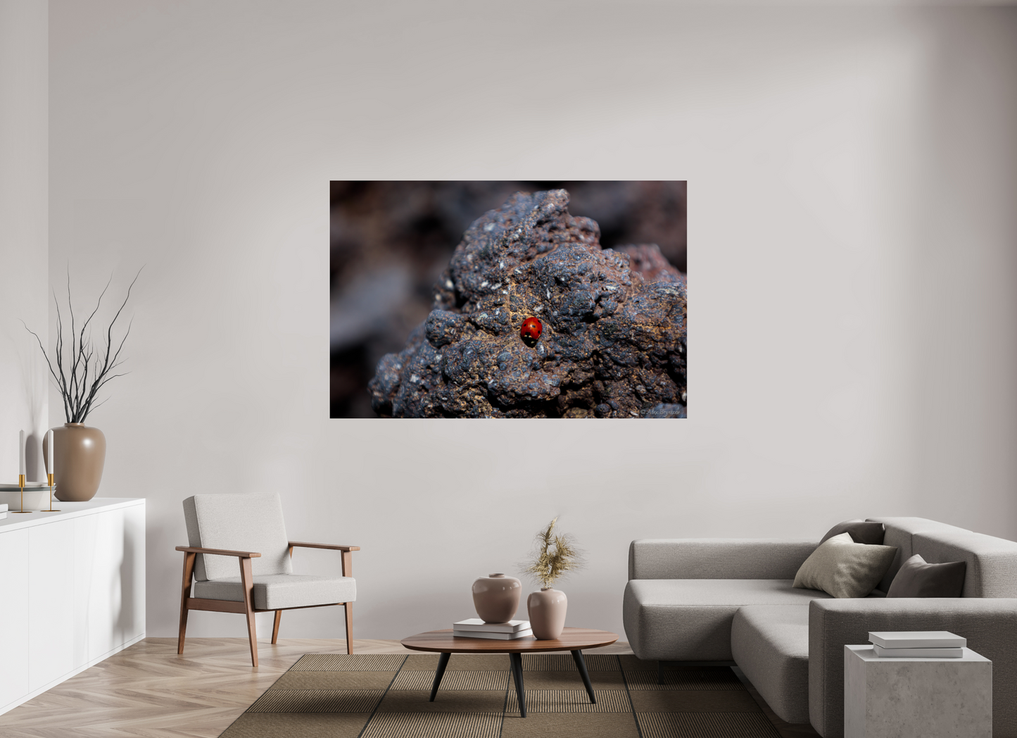 Vibrant Ladybug on Rocky Terrain Fine Art Print Multiple Sizes Available