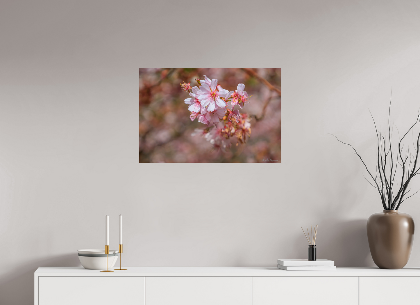 Breathtaking Cherry Blossom Art Print - Premium Quality