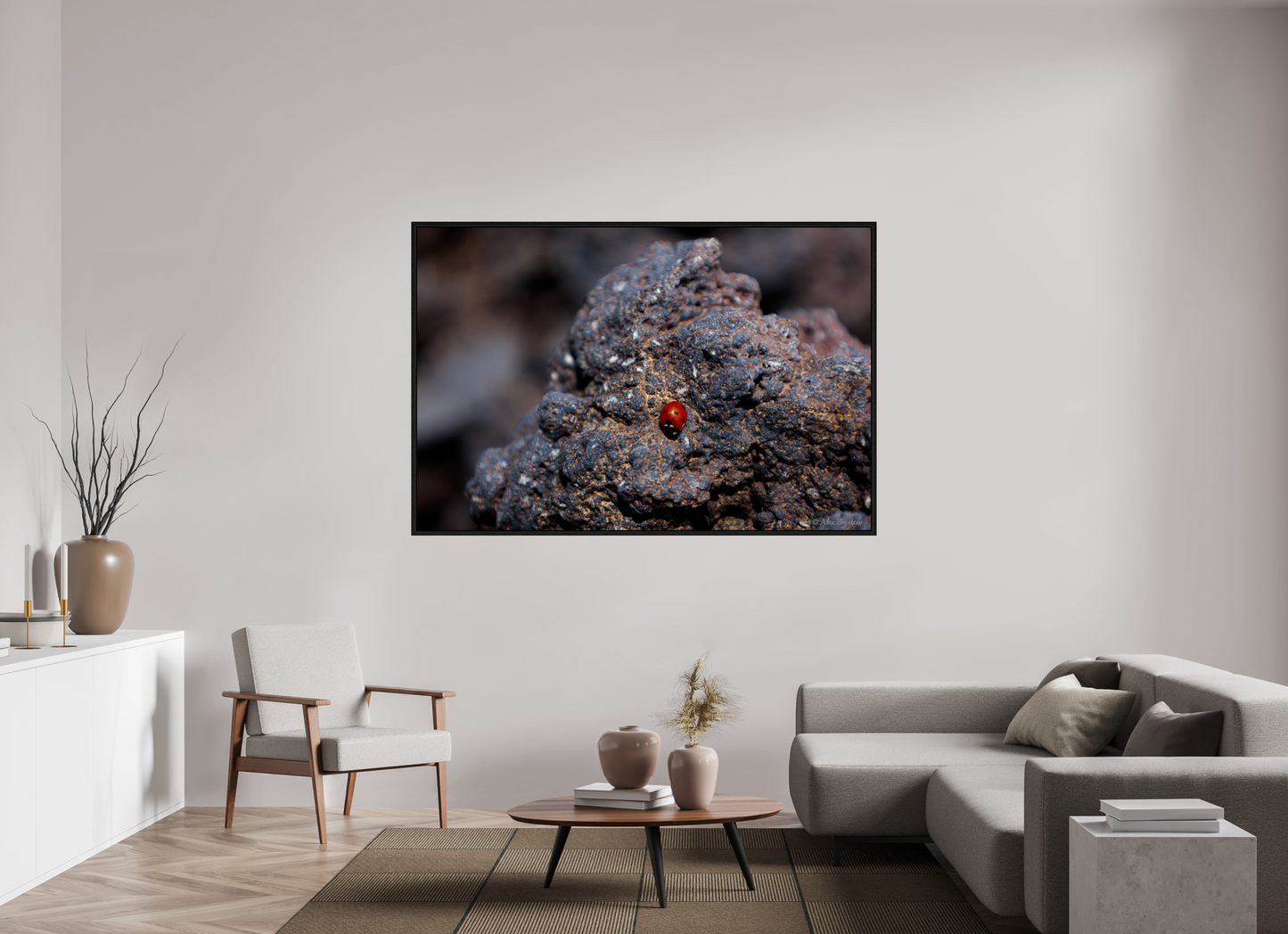 Vibrant Ladybug on Rocky Terrain Fine Art Print Multiple Sizes Available