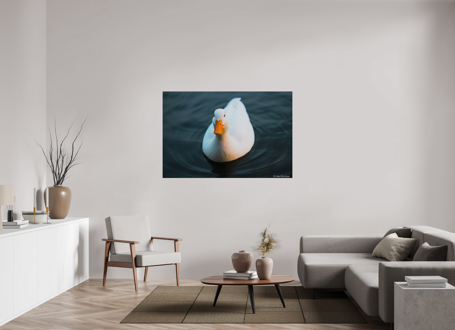 Graceful White Duck Print Wall Art – Nature Photography on Premium Paper