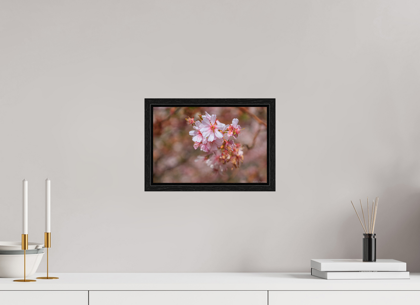 Breathtaking Cherry Blossom Art Print - Premium Quality