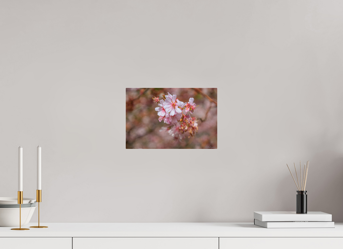 Breathtaking Cherry Blossom Art Print - Premium Quality