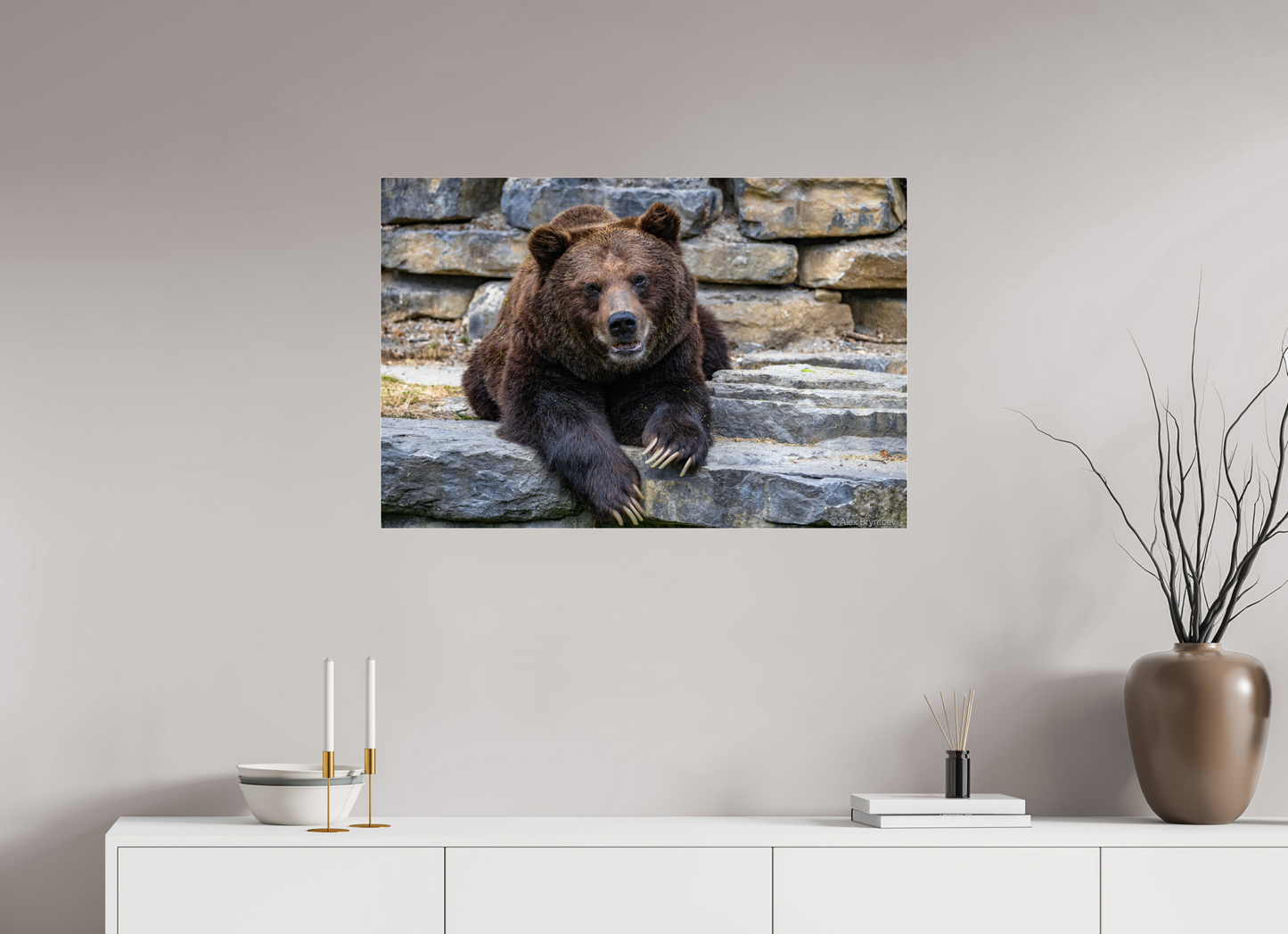 Majestic Bear Art Print Rustic Wildlife Photography Wall Decor