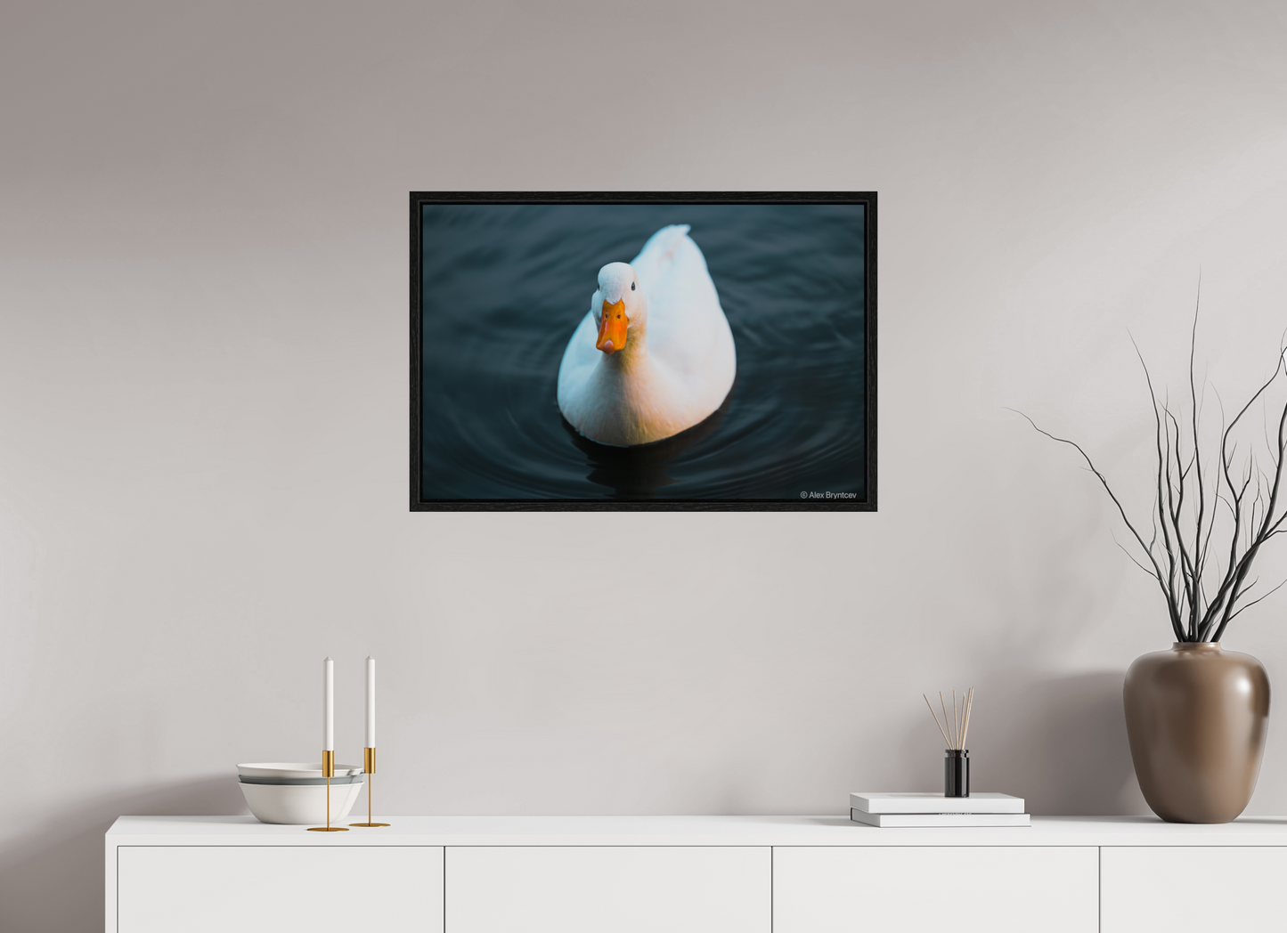Graceful White Duck Print Wall Art – Nature Photography on Premium Paper