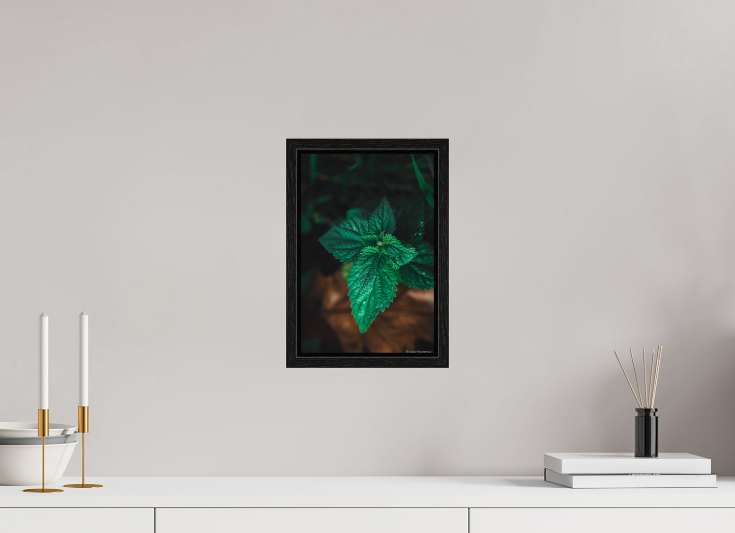 Captivating Green Leaf Print Nature Inspired Wall Art on Premium Paper