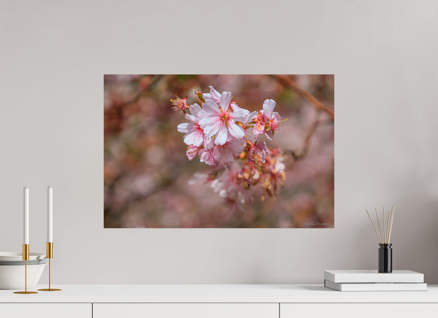 Breathtaking Cherry Blossom Art Print - Premium Quality