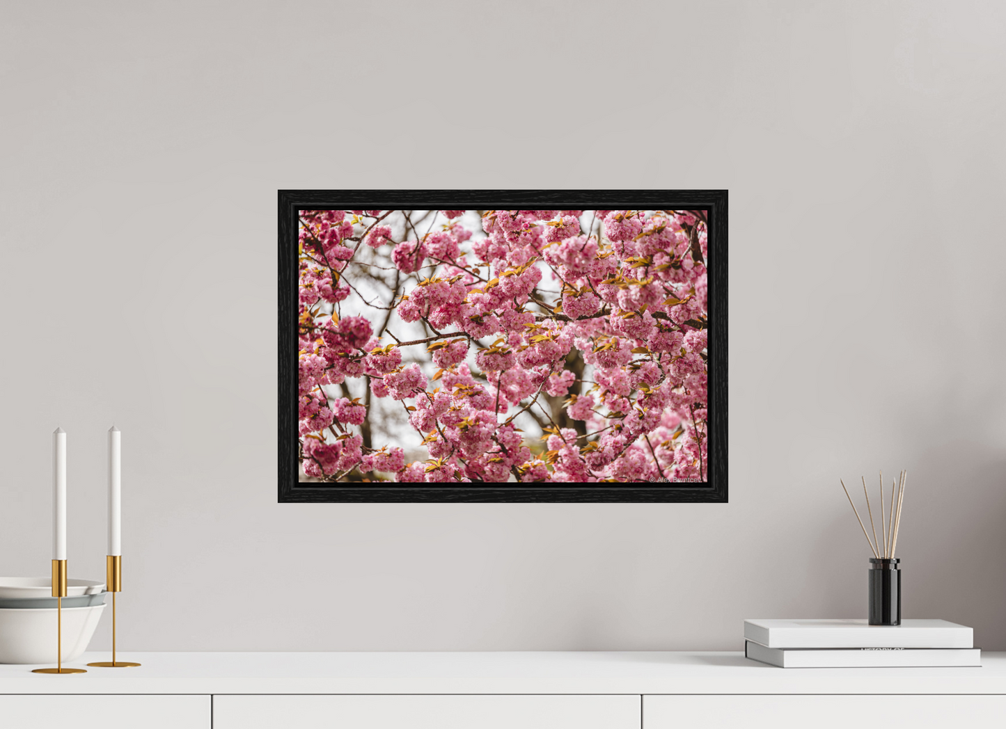 Captivating Cherry Blossom Print, Premium Art, Multiple Sizes Available