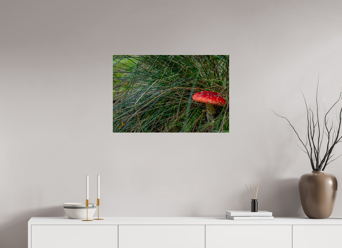 Enchanting Forest Mushroom Print Wall Art Nature Photography