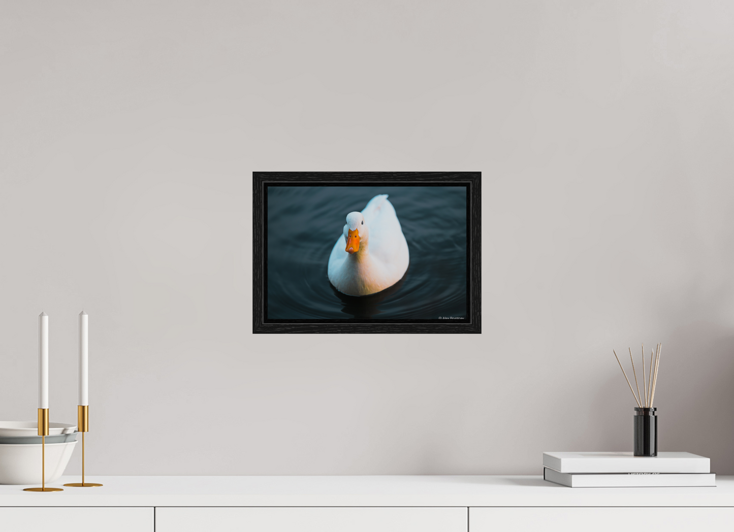 Graceful White Duck Print Wall Art – Nature Photography on Premium Paper