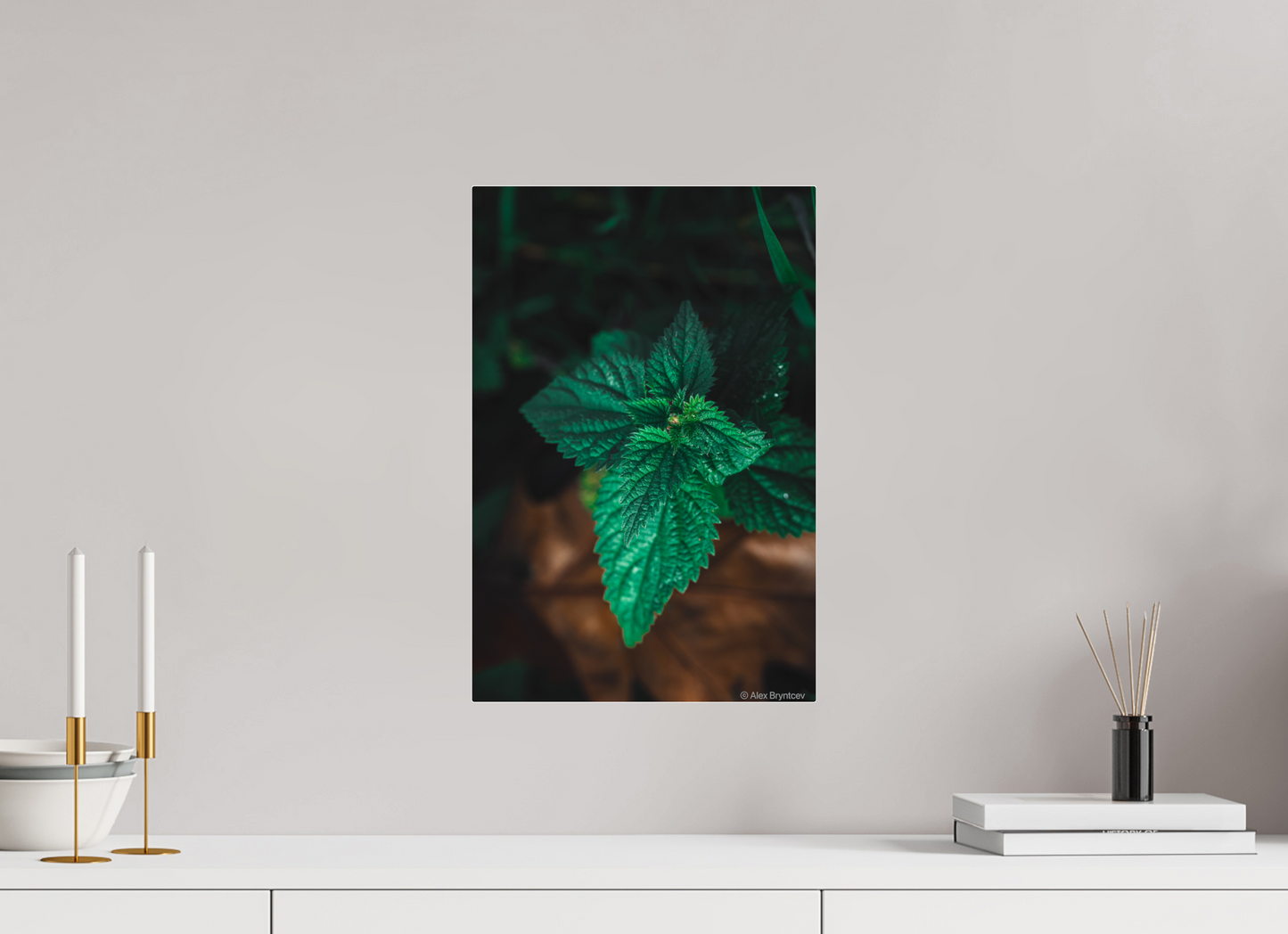 Captivating Green Leaf Print Nature Inspired Wall Art on Premium Paper