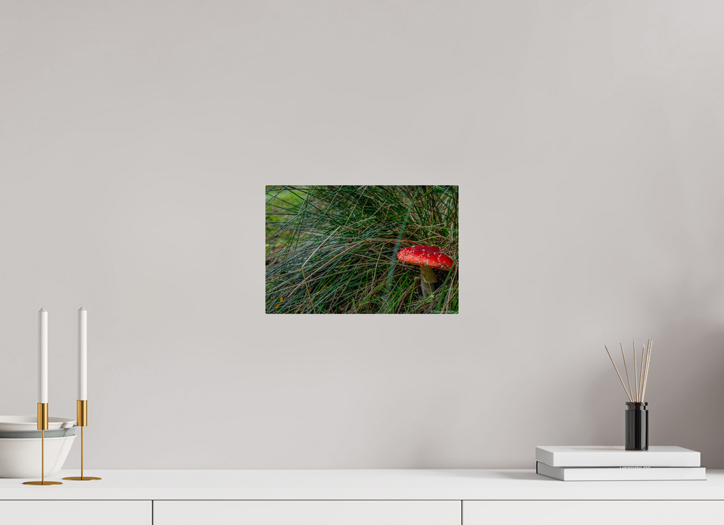 Enchanting Forest Mushroom Print Wall Art Nature Photography