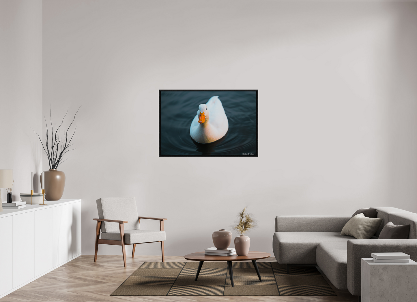 Graceful White Duck Print Wall Art – Nature Photography on Premium Paper