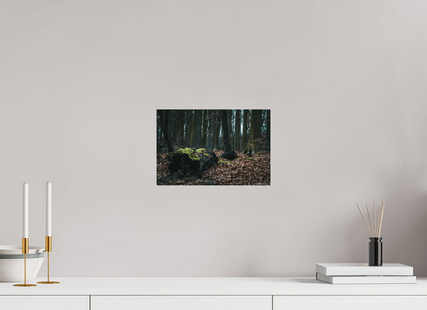 Enchanting Forest Floor Print Woodland Photography Art Wall Decor