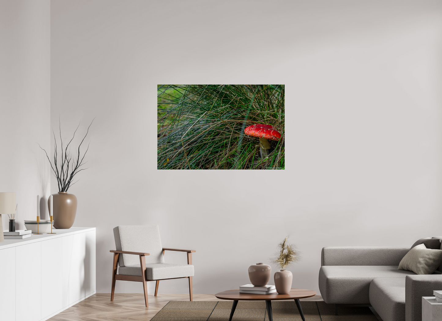 Enchanting Forest Mushroom Print Wall Art Nature Photography