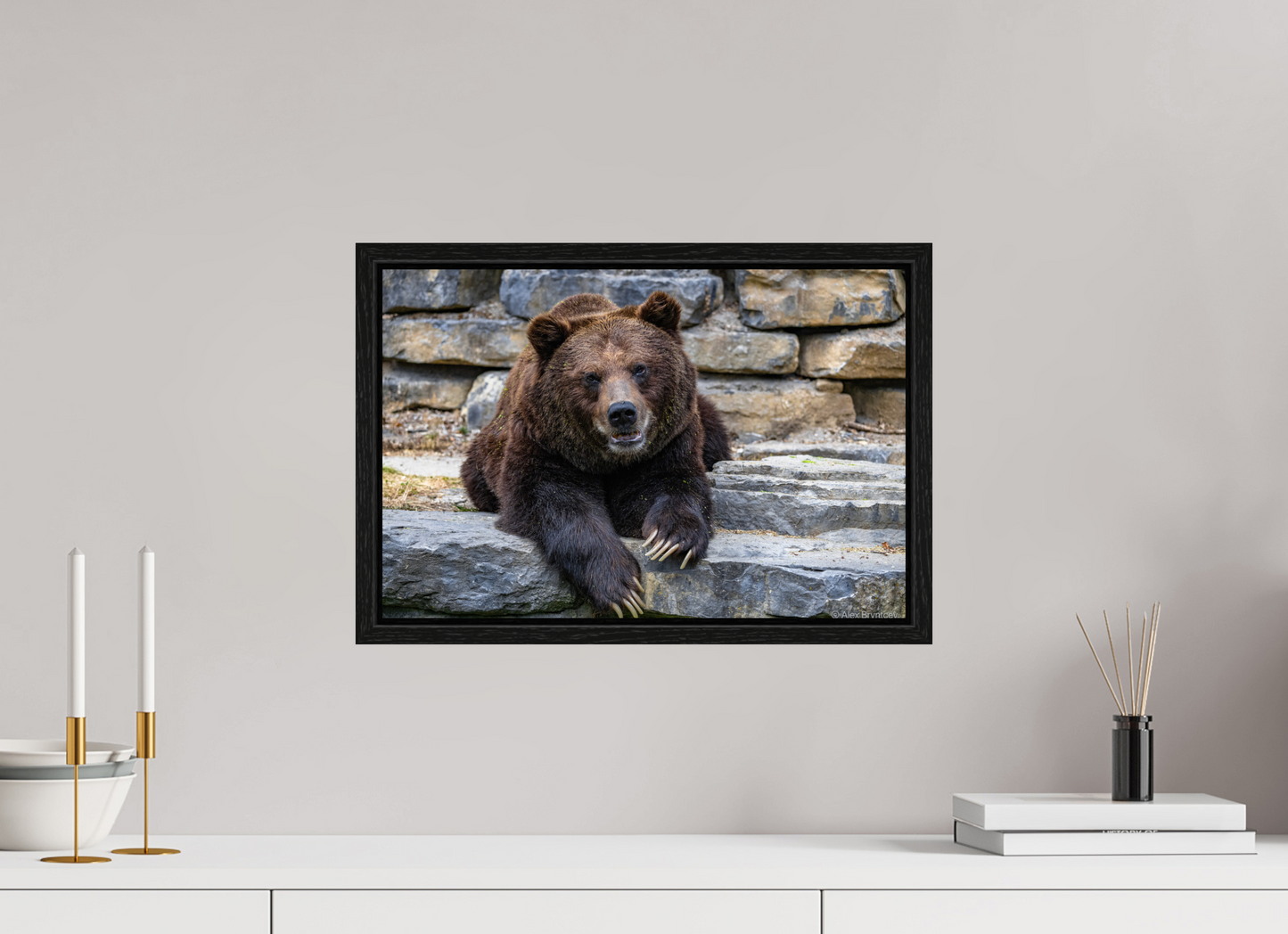 Majestic Bear Art Print Rustic Wildlife Photography Wall Decor