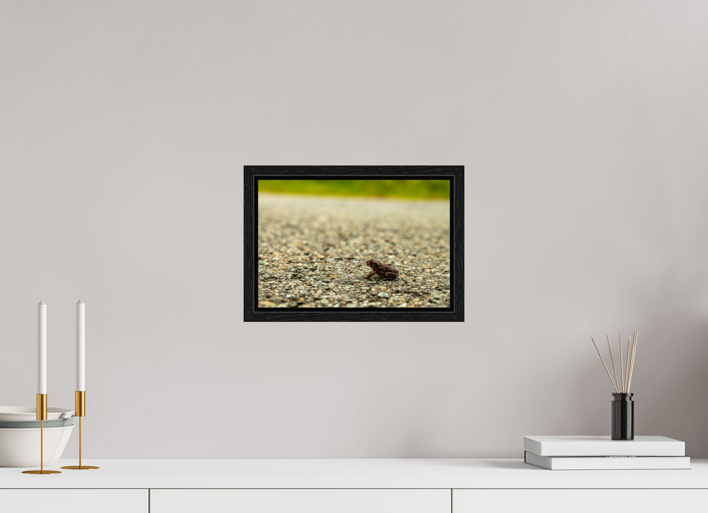 Captivating Close-Up of Tiny Frog on a Journey Fine Art Print