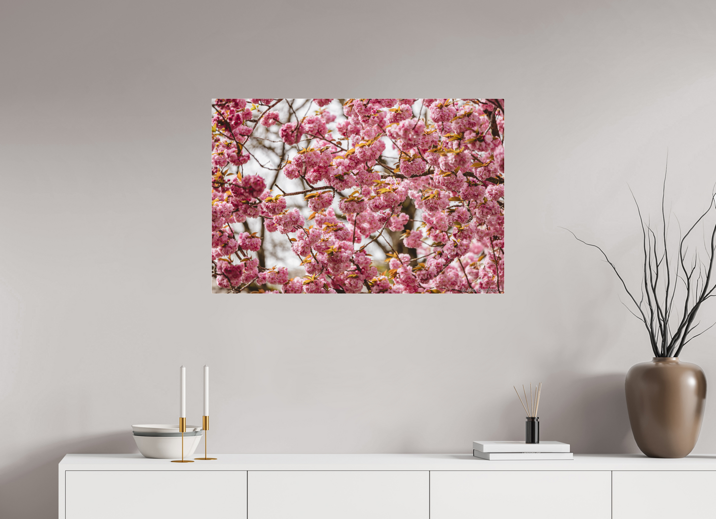 Captivating Cherry Blossom Print, Premium Art, Multiple Sizes Available