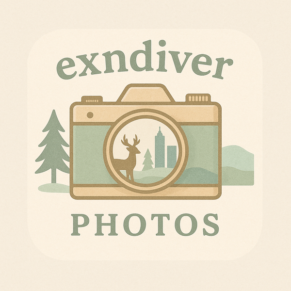 exndiver
