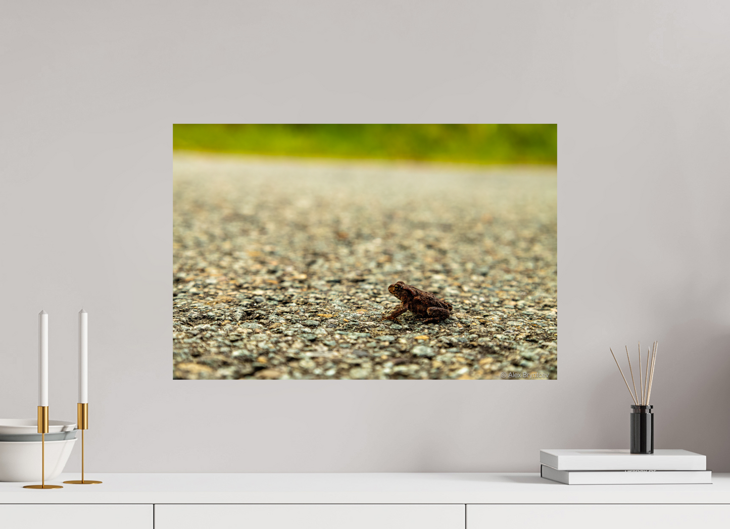 Captivating Close-Up of Tiny Frog on a Journey Fine Art Print