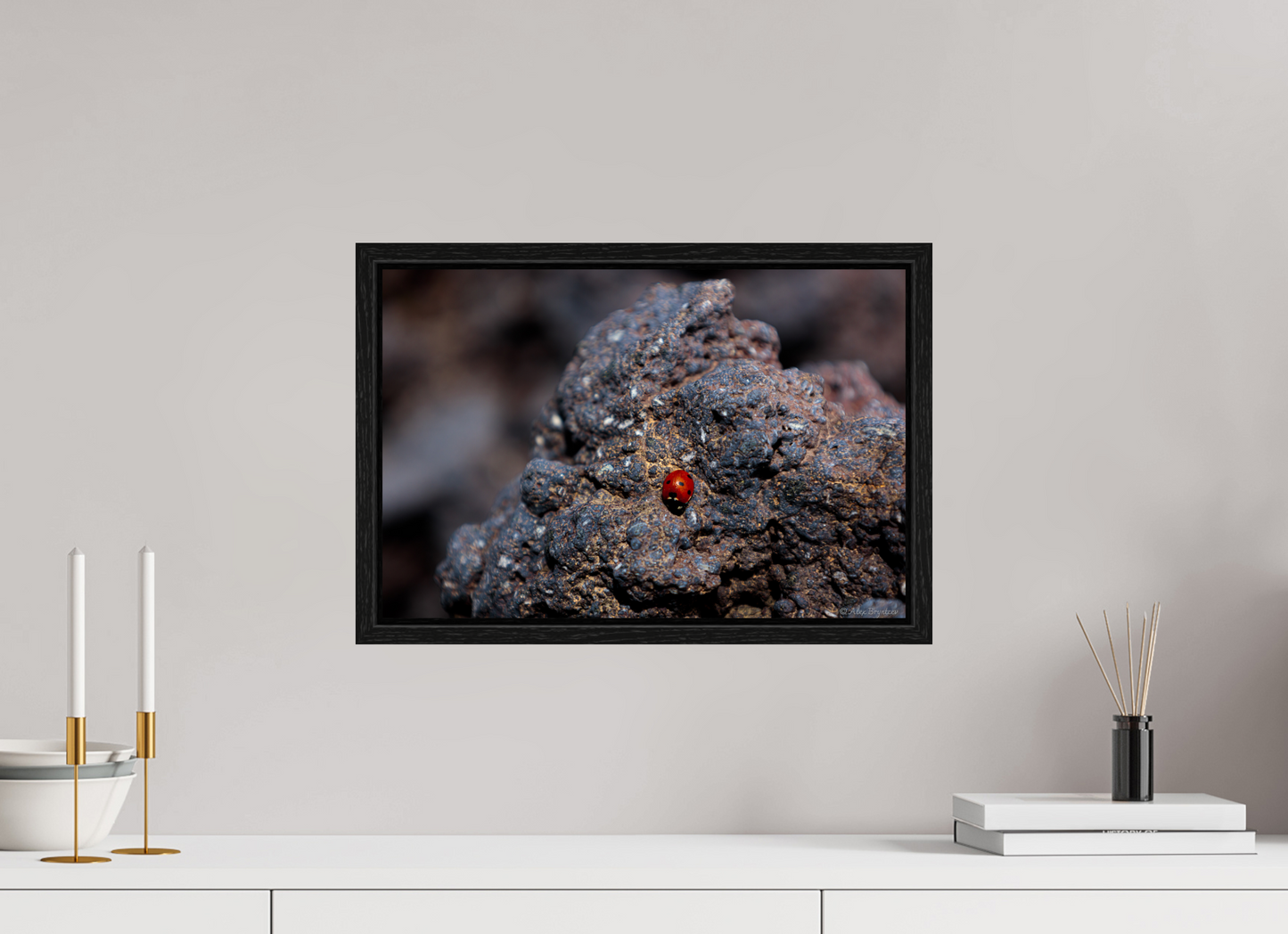 Vibrant Ladybug on Rocky Terrain Fine Art Print Multiple Sizes Available
