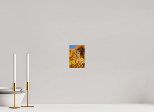 Autumn Glory Nature Print on Premium Paper Available in Multiple Sizes