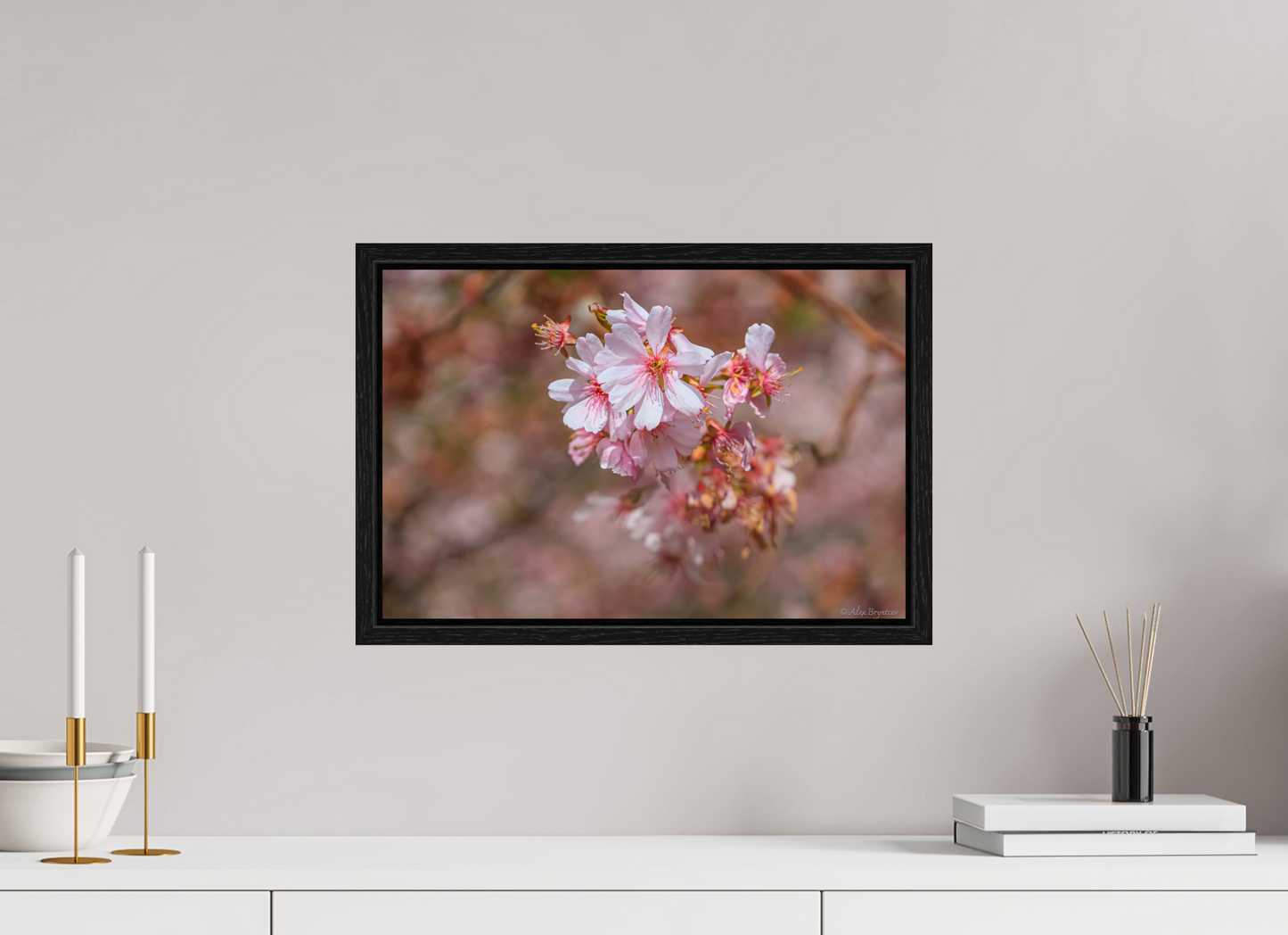 Breathtaking Cherry Blossom Art Print - Premium Quality