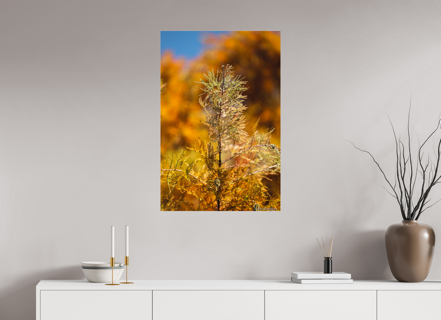 Autumn Glory Nature Print on Premium Paper Available in Multiple Sizes