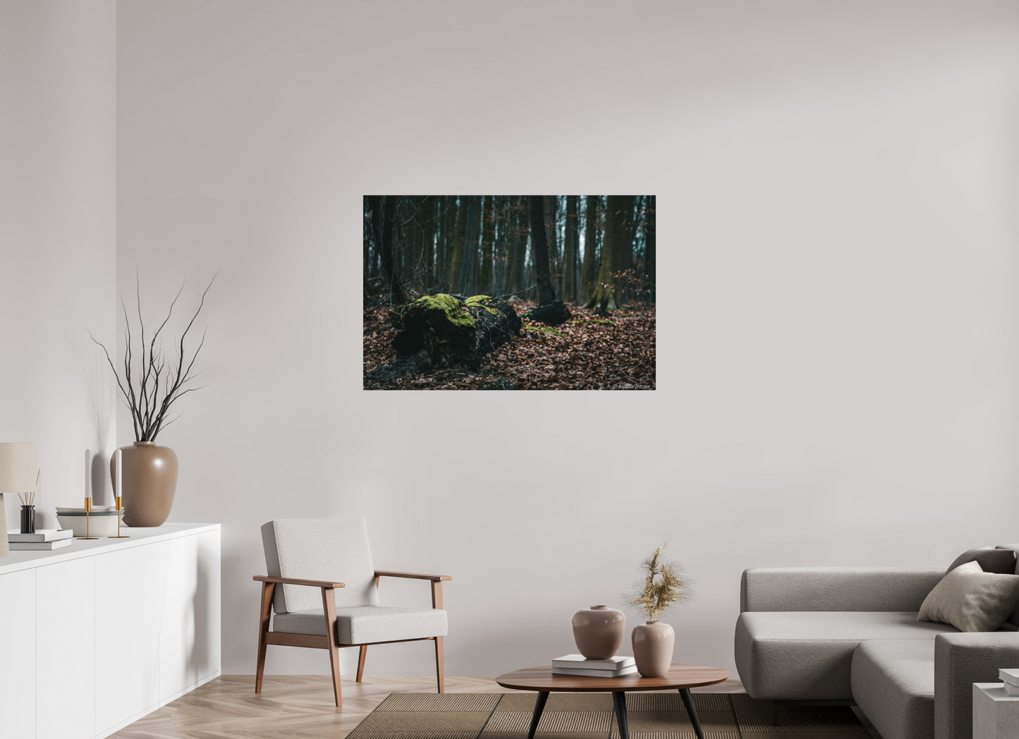 Enchanting Forest Floor Print Woodland Photography Art Wall Decor