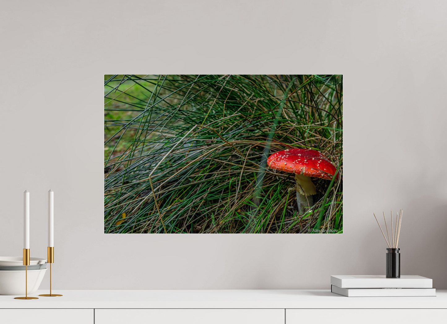 Enchanting Forest Mushroom Print Wall Art Nature Photography