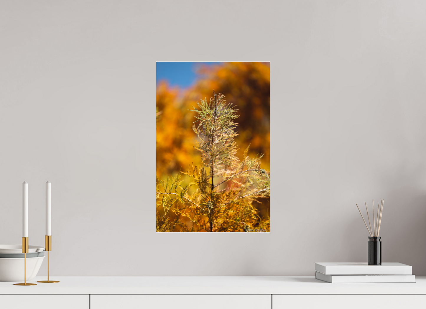 Autumn Glory Nature Print on Premium Paper Available in Multiple Sizes