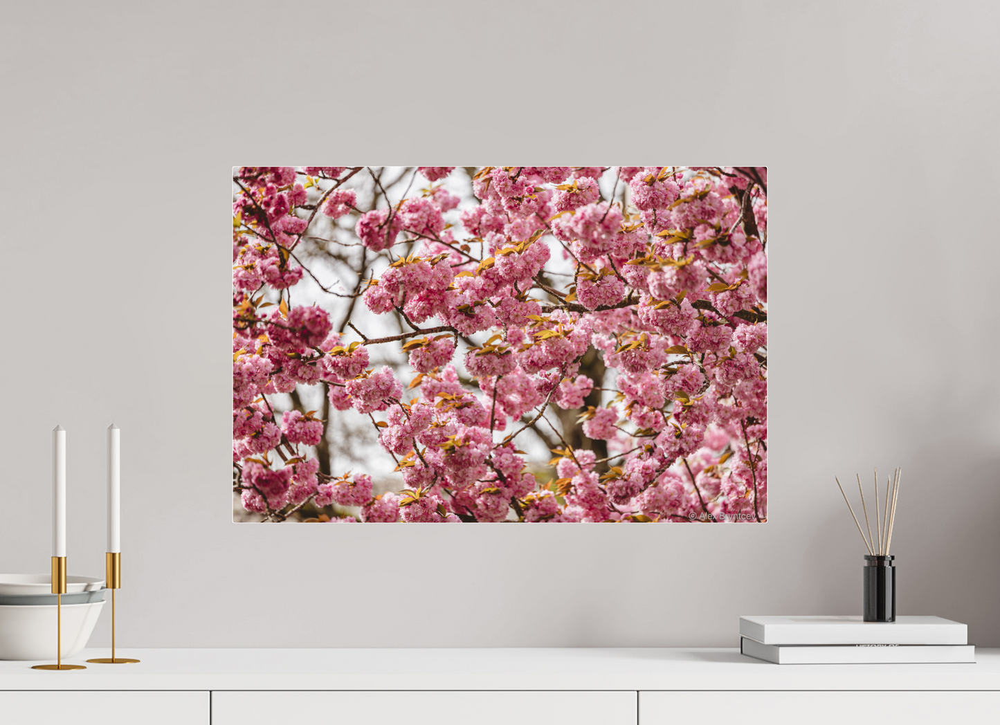 Captivating Cherry Blossom Print, Premium Art, Multiple Sizes Available