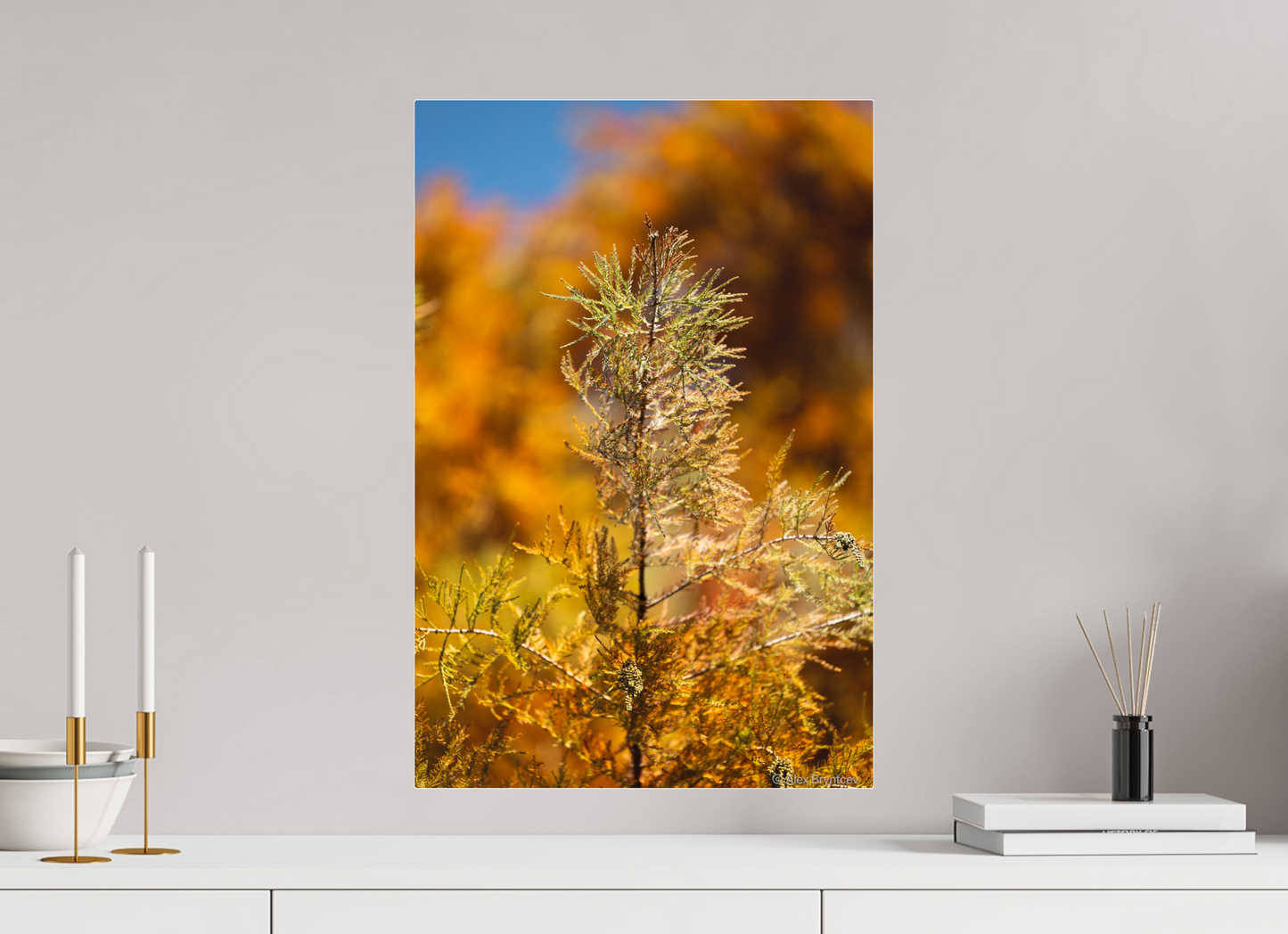 Autumn Glory Nature Print on Premium Paper Available in Multiple Sizes