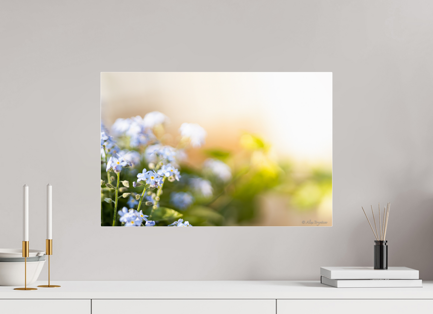 Forget Me Not Flower Print Soft Pastel Floral Wall Art Nature Home Decor