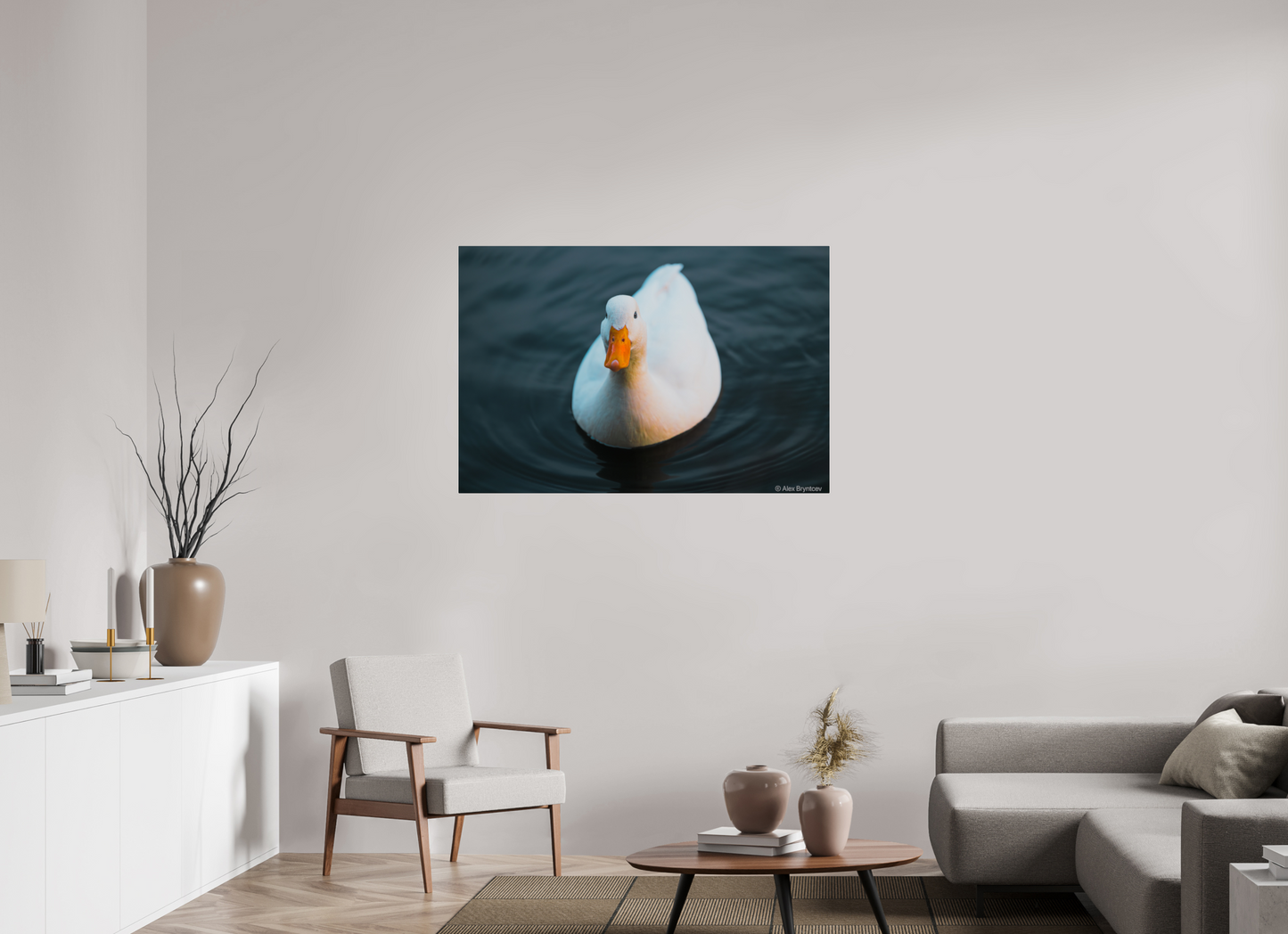 Graceful White Duck Print Wall Art – Nature Photography on Premium Paper
