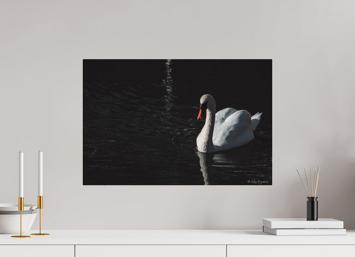 Elegant Swan Art Print Tranquil Water Scene Nature Photography Wall Decor