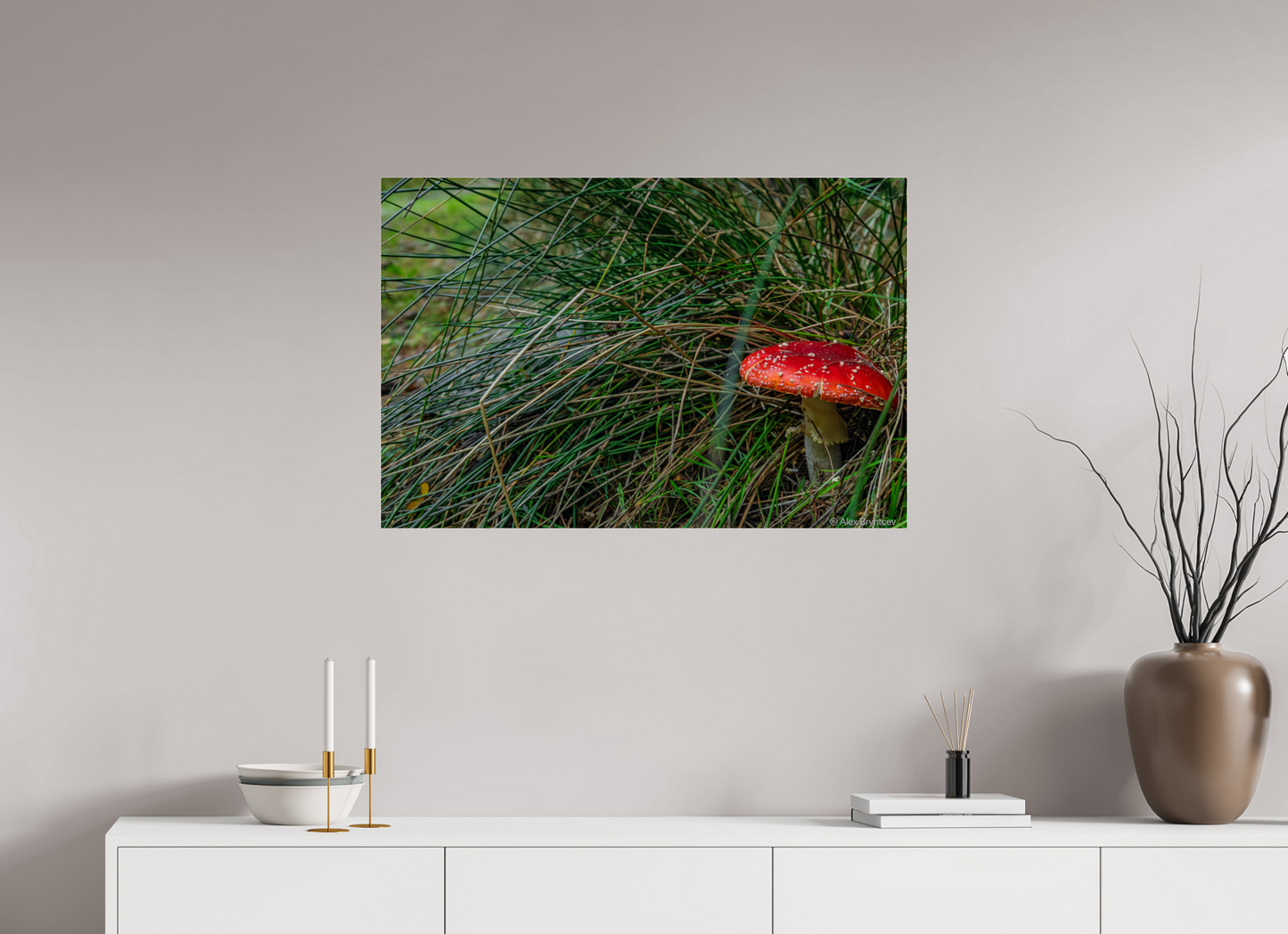 Enchanting Forest Mushroom Print Wall Art Nature Photography