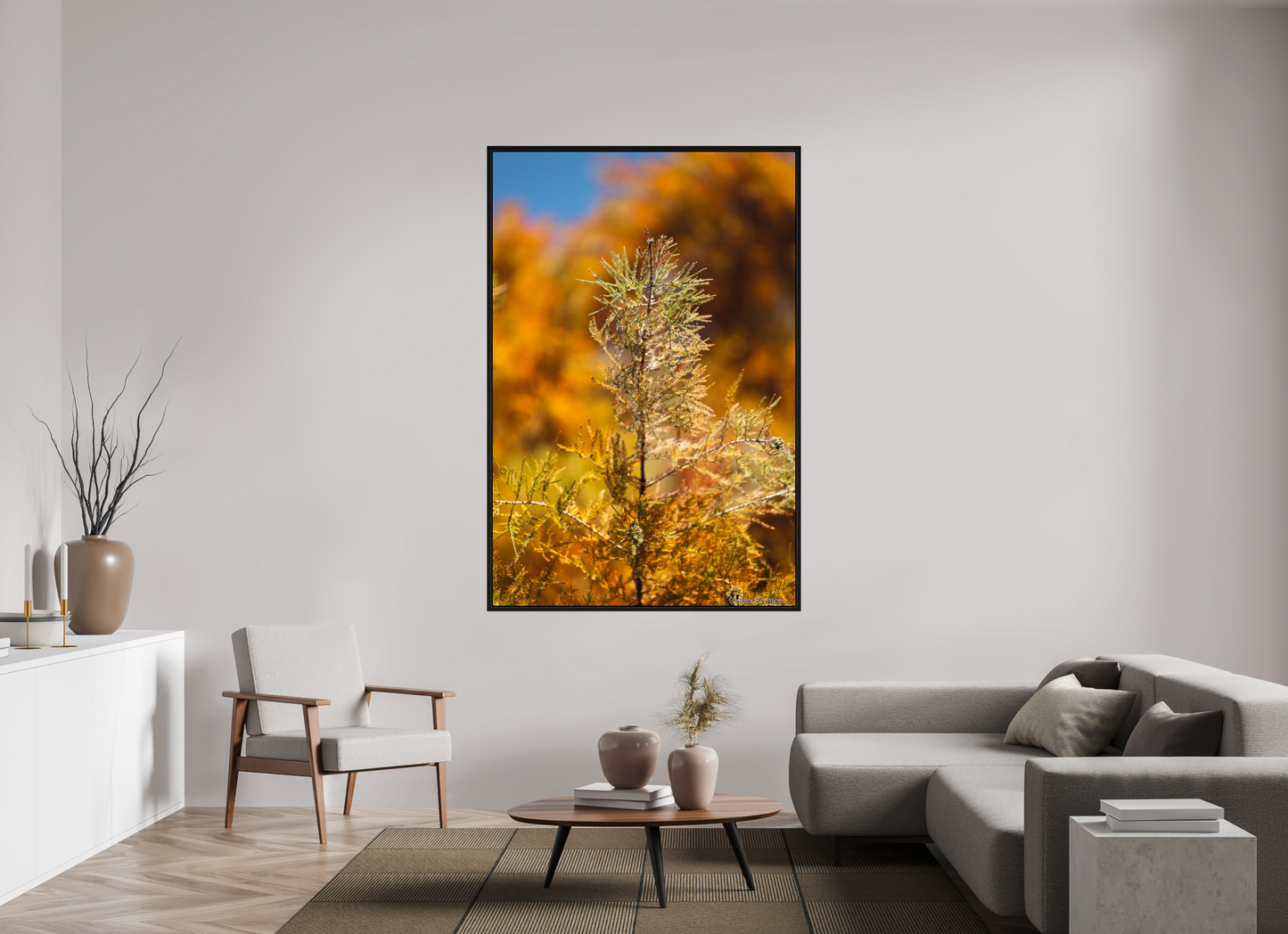 Autumn Glory Nature Print on Premium Paper Available in Multiple Sizes