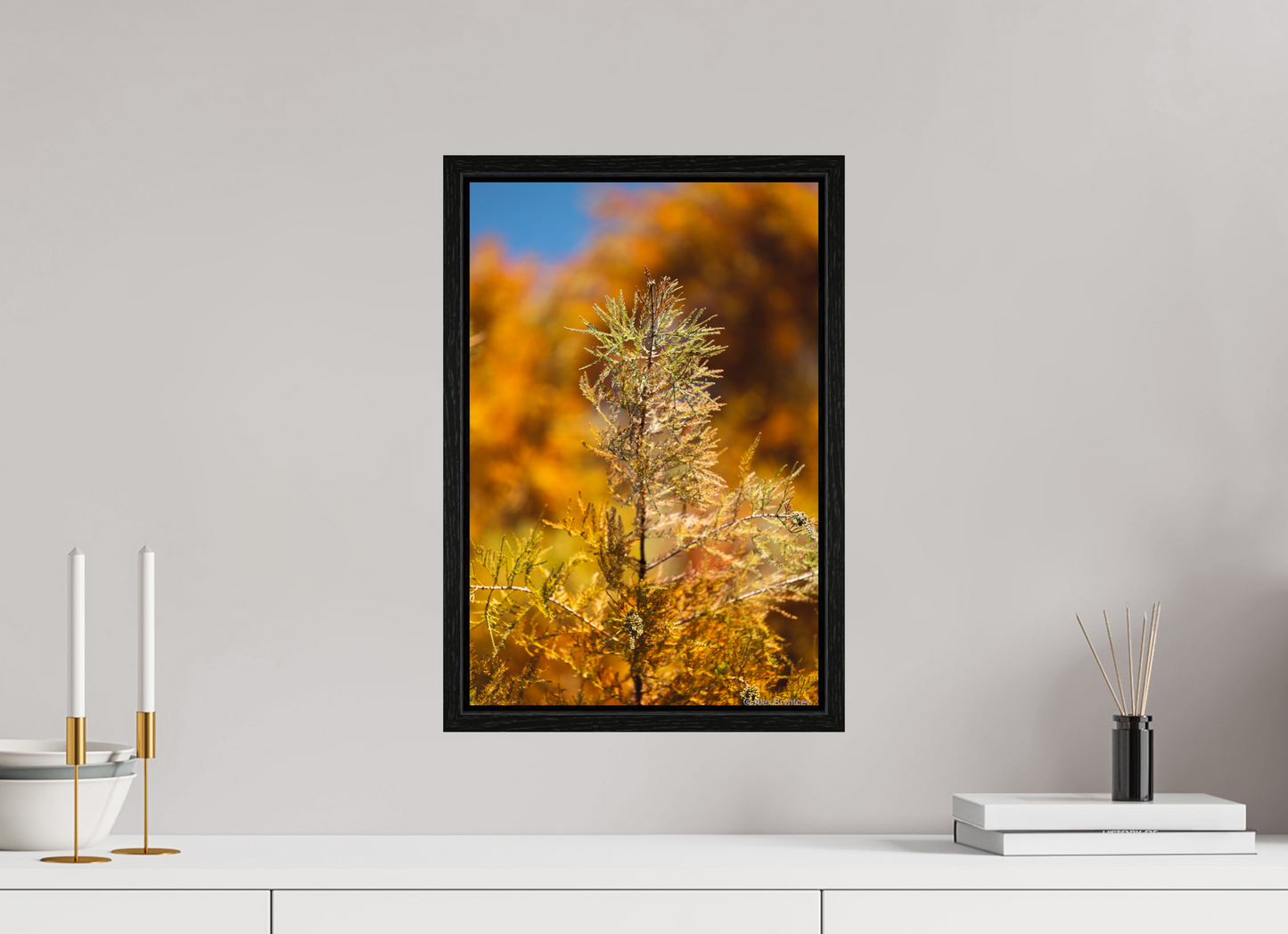 Autumn Glory Nature Print on Premium Paper Available in Multiple Sizes