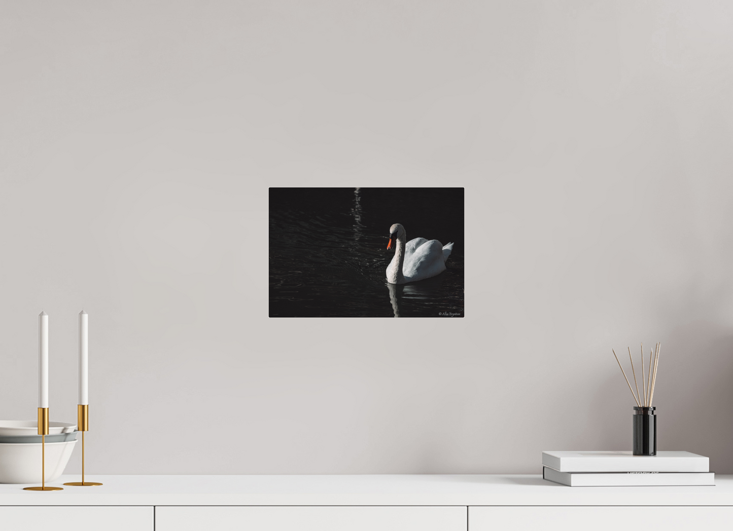 Elegant Swan Art Print Tranquil Water Scene Nature Photography Wall Decor